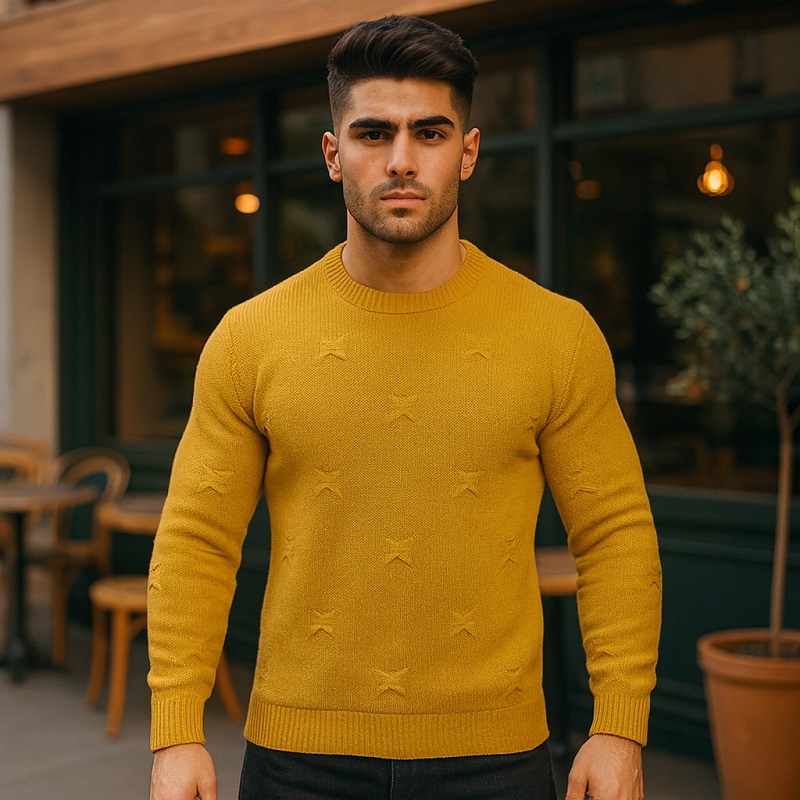 پلیور زاپ دارخردلی مردانه مدلDeta